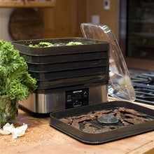 Load image into Gallery viewer, 6-Tray Digital Dehydrator
