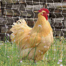 Load image into Gallery viewer, PoultryNet Plus 12/42/3 Starter Kit (Black/White)