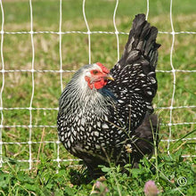 Load image into Gallery viewer, PoultryNet Plus 12/48/3 Starter Kit (Green/Black)