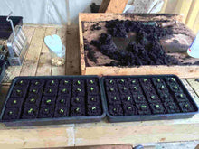 Load image into Gallery viewer, Soil Blocker Set