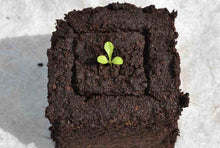 Load image into Gallery viewer, Soil Blocker Set