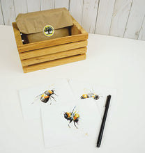 Load image into Gallery viewer, Bee Notecards