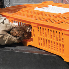 Load image into Gallery viewer, Quailcrate