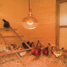 Load image into Gallery viewer, 1200 Watt Carbon Fiber Heater With 16" Dia Shade