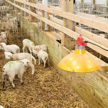 Load image into Gallery viewer, 1200 Watt Carbon Fiber Heater With 16" Dia Shade