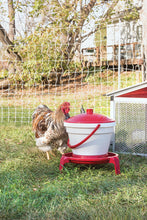 Load image into Gallery viewer, 3-Gallon QuikClean Waterer with Legs