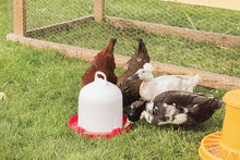 Load image into Gallery viewer, Top Fill Fountain Waterer