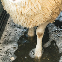 Load image into Gallery viewer, SureFoot Foot Bath