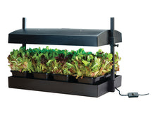 Load image into Gallery viewer, T5 Grow Light Garden, Black