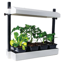 Load image into Gallery viewer, T5 Micro Garden Grow Light