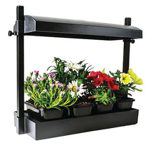 Load image into Gallery viewer, Seed Starting Set