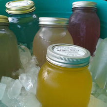 Load image into Gallery viewer, Water Kefir Complete Starter Set