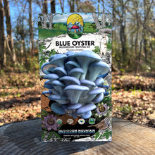 Load image into Gallery viewer, Oyster Mushroom Fruiting Kit
