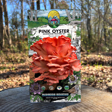 Load image into Gallery viewer, Oyster Mushroom Fruiting Kit