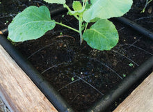 Load image into Gallery viewer, THE GARDEN GRID™ WATERING SYSTEM