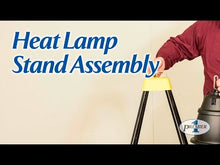 Load and play video in Gallery viewer, Chicken Brooder Kit With Heat Lamp