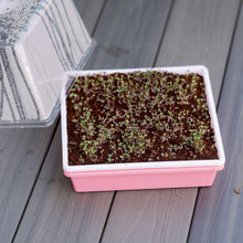 Load image into Gallery viewer, 1010 Trays 2.5&quot; Deep Trays - Extra Strength
