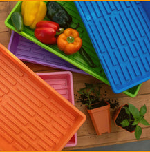 Load image into Gallery viewer, 1020 Seed Starting Trays - Colored
