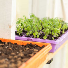 Load image into Gallery viewer, 1020 Seed Starting Trays - Colored
