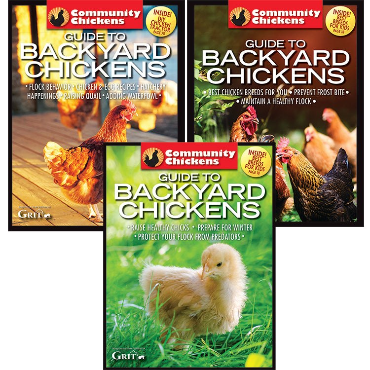 Community Chickens Guide To Backyard Chickens Set – Countryside