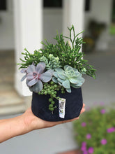 Load image into Gallery viewer, Fabric Planter Succulent Kit
