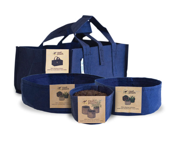 Fabric Planter Succulent Kit