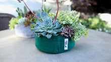 Load image into Gallery viewer, Fabric Planter Succulent Kit
