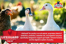 Load image into Gallery viewer, Kalmbach 20% ALL Natural FLOCK MAKER Crumbles - 10 lb
