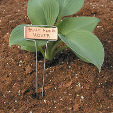 Load image into Gallery viewer, Luster Leaf Classic Impressions Garden 10&quot; Plant Labels | Copper or Zinc 10 Pk.
