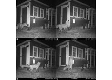 Load image into Gallery viewer, Large Chicken Coop - Up to 15 Chickens
