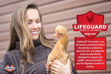 Load image into Gallery viewer, 17% ALL NATURAL LAYER Crumbles for Chickens - 10 lb
