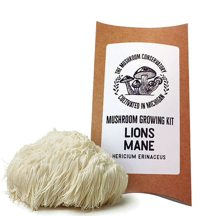 LIONS MANE MUSHROOM GROWING KIT