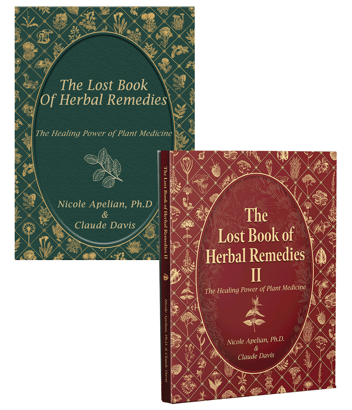 THE LOST BOOK OF HERBAL REMEDIES SET – Countryside