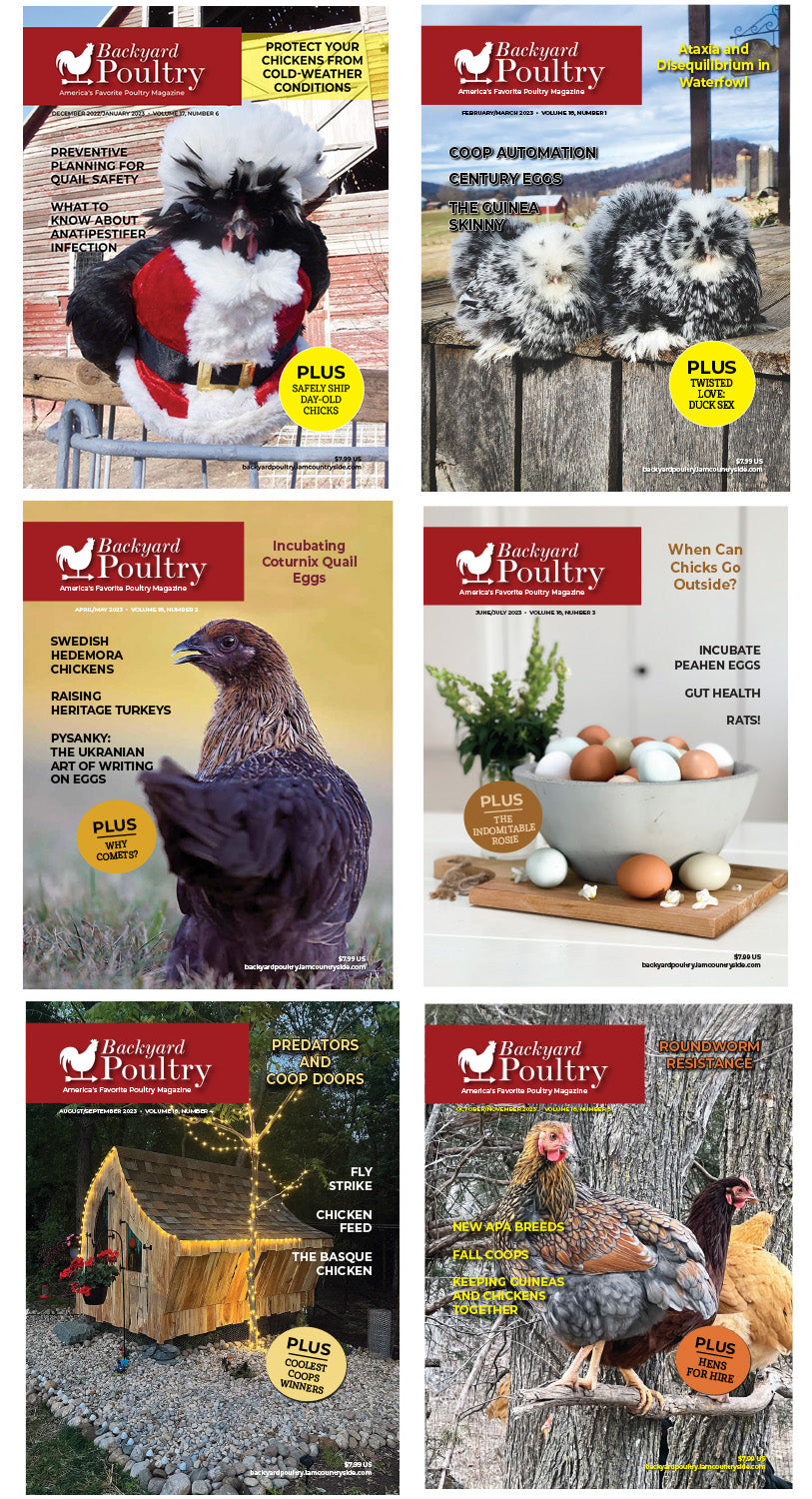Backyard Poultry Back Issue Bundle 2023