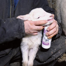 Load image into Gallery viewer, NUTRI-DRENCH FOR SHEEP &amp; GOATS
