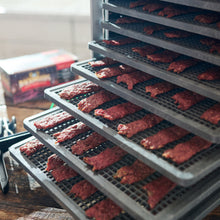 Load image into Gallery viewer, MightyBite 10-Tray Dehydrator
