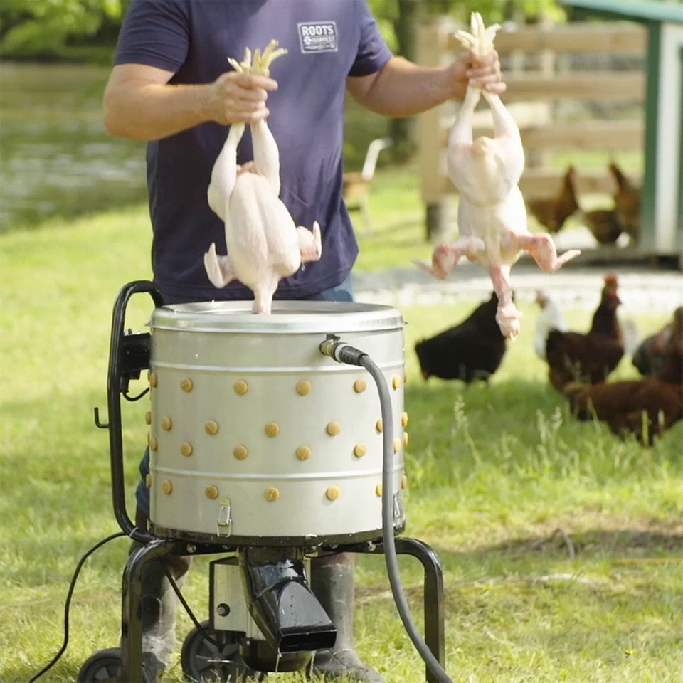 Stainless Steel Poultry Plucker