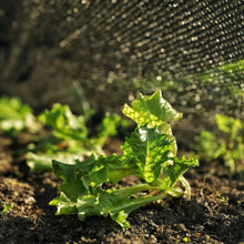 Load image into Gallery viewer, Greenhouse Shade Cloth - 30% Black
