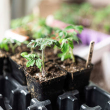 Load image into Gallery viewer, Seed Starter Pots - 2.5&quot; Extra Strength
