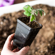 Load image into Gallery viewer, Seed Starter Pots - 2.5&quot; Extra Strength
