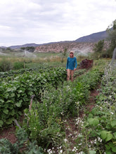 Load image into Gallery viewer, Full Seed CSA Share - 50 Varieties Curated for Your Area!
