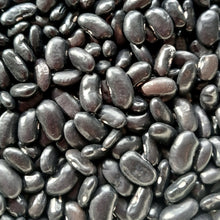 Load image into Gallery viewer, Full Seed CSA Share - 50 Varieties Curated for Your Area!

