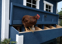 Load image into Gallery viewer, Large Chicken Coop - Up to 15 Chickens
