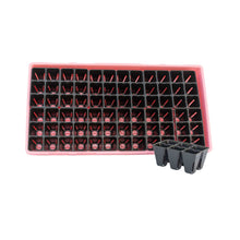 Load image into Gallery viewer, 6 Cell Plug Tray Inserts
