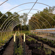 Load image into Gallery viewer, Grow Bags - 100 Gallon
