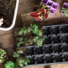 Load image into Gallery viewer, 32-Cell Reusable Plant Starter Trays with Inserts
