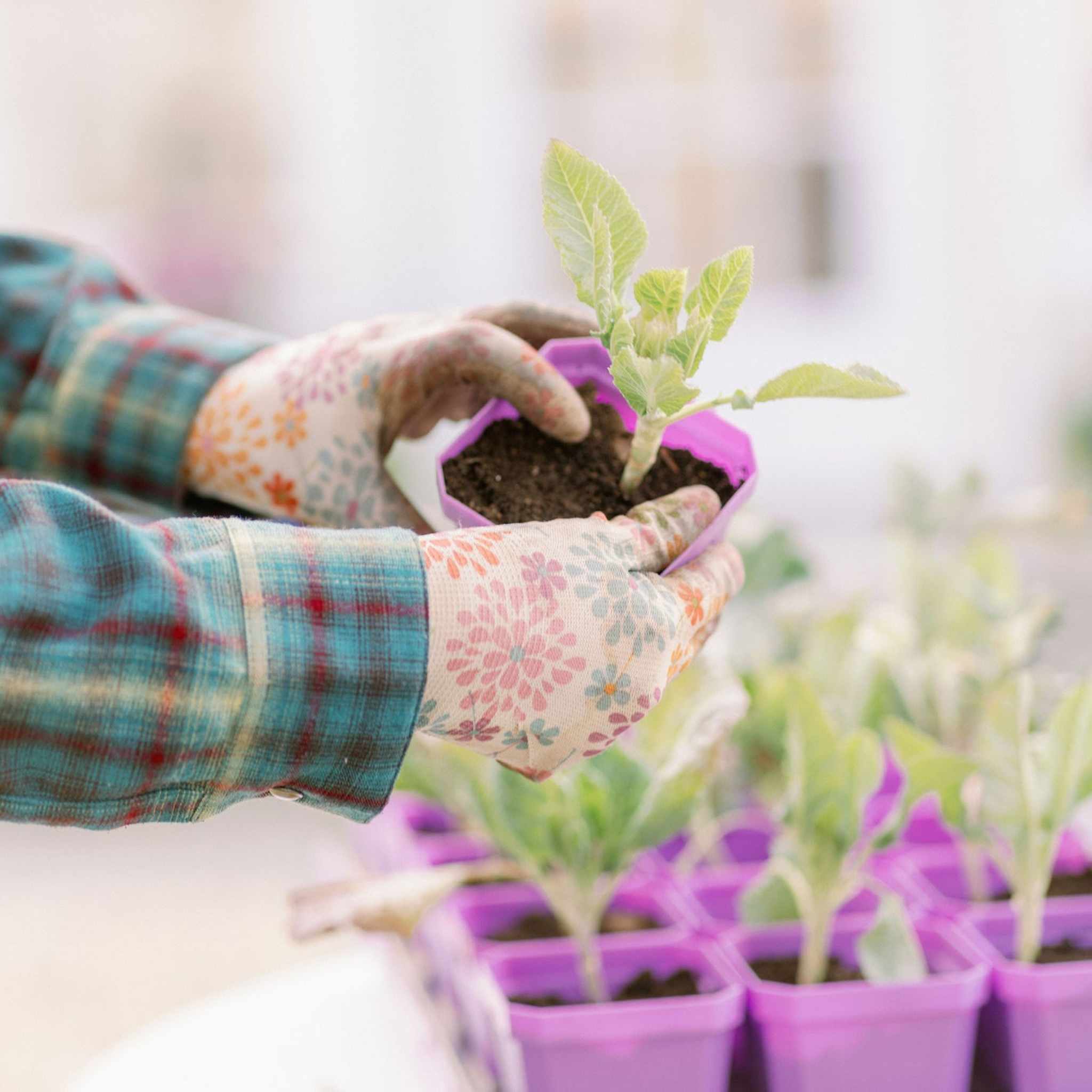 small plant starter pots 3.3" Heavy Duty Seed Starting Pots Green / 180