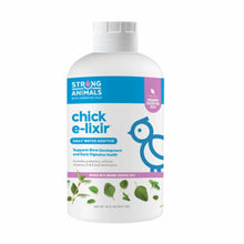 Load image into Gallery viewer, Baby Chick Care Kit
