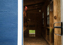 Load image into Gallery viewer, Large Chicken Coop - Up to 15 Chickens
