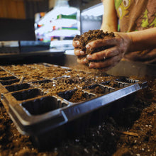 Load image into Gallery viewer, 50 Cell Seed Planting Trays
